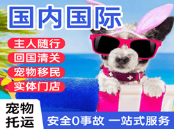 中卫沙坡头国际宠物托运 【国